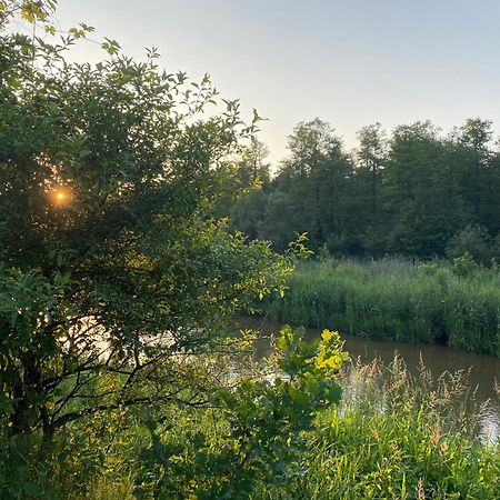 Przytulny Domek W Lesie Blisko Rzeki Ryczywol  Exterior photo