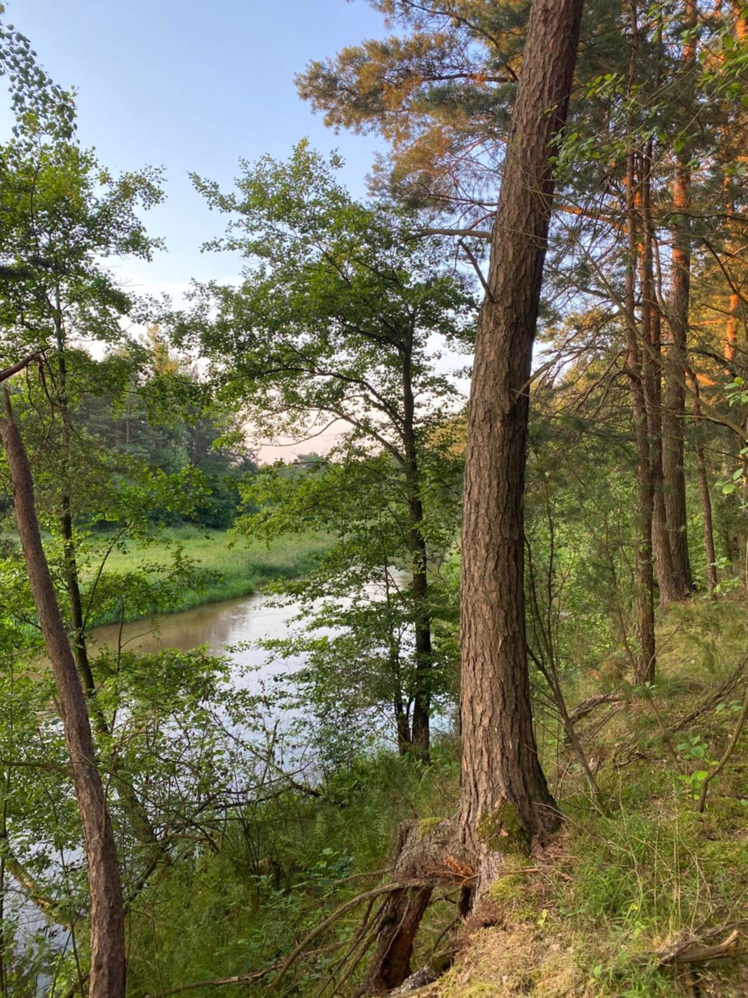 Przytulny Domek W Lesie Blisko Rzeki Ryczywol  Exterior photo